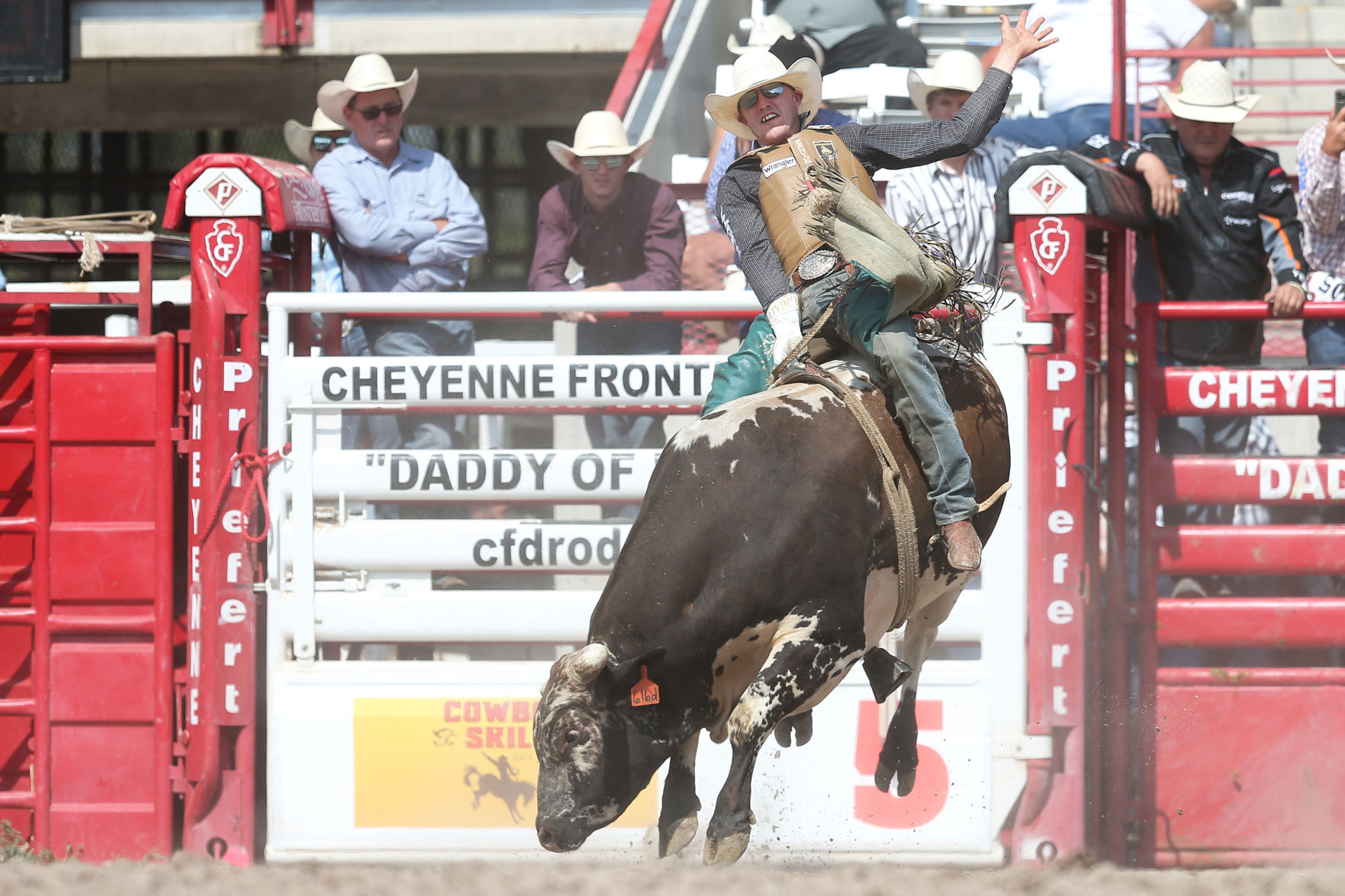 Bull riding